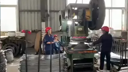 Conduttore in alluminio ACSR