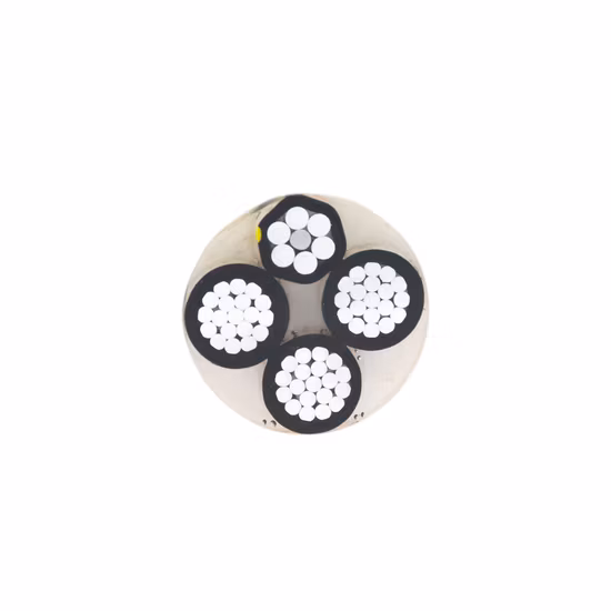 Uscita servizio quadruplex/ACSR (cavo ABC)